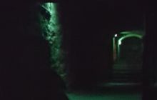 Shadowy figure in the Vaults