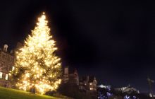 Christmas Tree on The Mound
